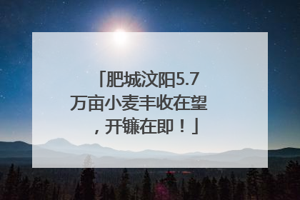 肥城汶阳5.7万亩小麦丰收在望，开镰在即！
