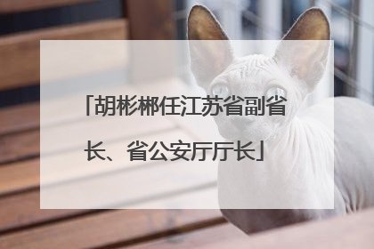 胡彬郴任江苏省副省长、省公安厅厅长