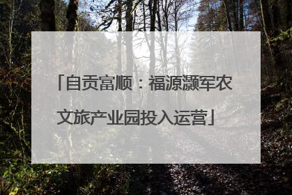 自贡富顺：福源灏军农文旅产业园投入运营