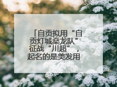 自贡拟用“自贡灯城燊龙队”征战“川超”，起名的是美发用品店销售员