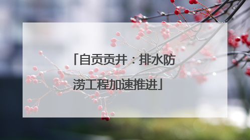 自贡贡井：排水防涝工程加速推进