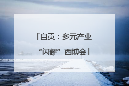 自贡：多元产业“闪耀”西博会