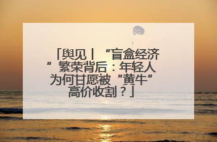 舆见丨“盲盒经济”繁荣背后：年轻人为何甘愿被“黄牛”高价收割？