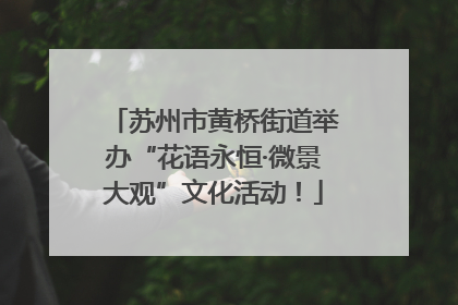 苏州市黄桥街道举办“花语永恒·微景大观”文化活动！