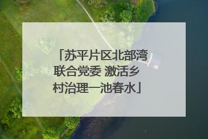 苏平片区北部湾联合党委 激活乡村治理一池春水