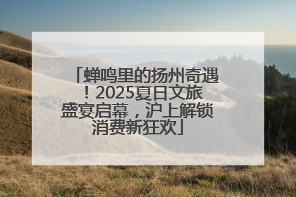 蝉鸣里的扬州奇遇！2025夏日文旅盛宴启幕，沪上解锁消费新狂欢