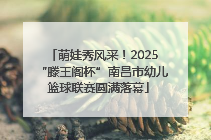 萌娃秀风采！2025“滕王阁杯”南昌市幼儿篮球联赛圆满落幕