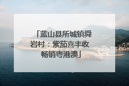 蓝山县所城镇舜岩村：紫茄喜丰收 畅销粤港澳