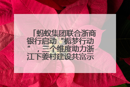 蚂蚁集团联合浙商银行启动“栀梦行动”，三个维度助力浙江下姜村建设共富示范区示范点