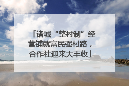 诸城“整村制”经营铺就富民强村路，合作社迎来大丰收