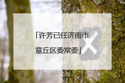 许芳已任济南市章丘区委常委