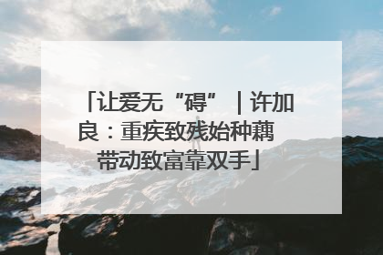 让爱无“碍”｜许加良：重疾致残始种藕 带动致富靠双手