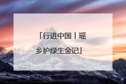 行进中国丨瑶乡护绿生金记