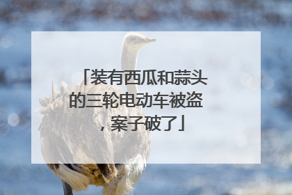 装有西瓜和蒜头的三轮电动车被盗，案子破了