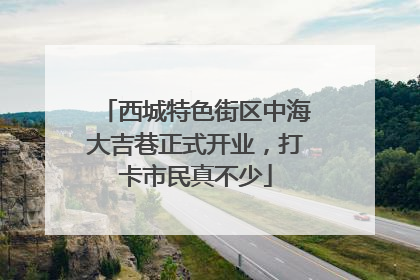 西城特色街区中海大吉巷正式开业，打卡市民真不少