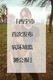 西宁市首次发布氧环境监测公报
