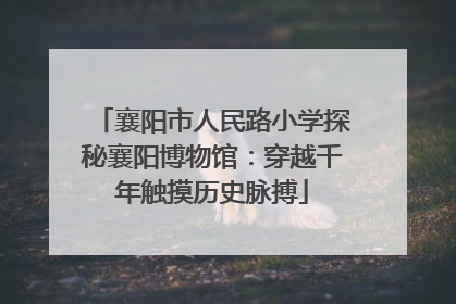 襄阳市人民路小学探秘襄阳博物馆：穿越千年触摸历史脉搏