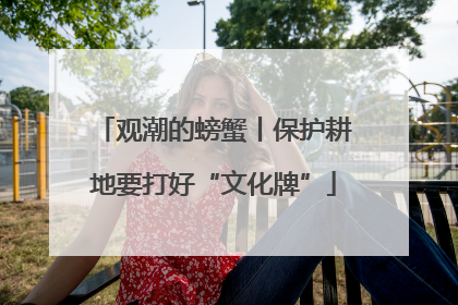 观潮的螃蟹丨保护耕地要打好“文化牌”