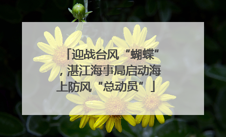 迎战台风“蝴蝶”，湛江海事局启动海上防风“总动员”
