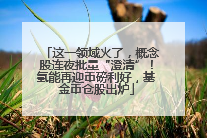 这一领域火了，概念股连夜批量“澄清”！氢能再迎重磅利好，基金重仓股出炉