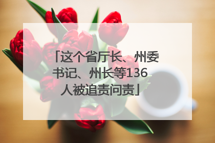 这个省厅长、州委书记、州长等136人被追责问责