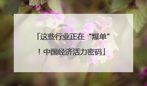 这些行业正在“爆单”！中国经济活力密码