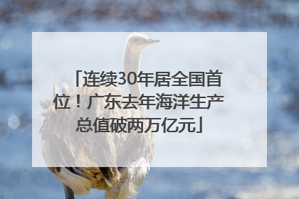 连续30年居全国首位！广东去年海洋生产总值破两万亿元