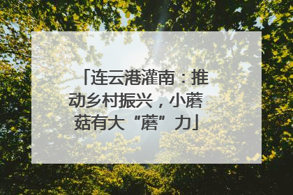 连云港灌南：推动乡村振兴，小蘑菇有大“蘑”力