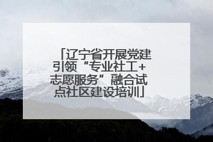 辽宁省开展党建引领“专业社工+志愿服务”融合试点社区建设培训