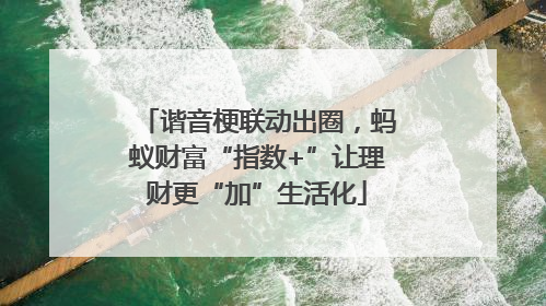 谐音梗联动出圈，蚂蚁财富“指数+”让理财更“加”生活化