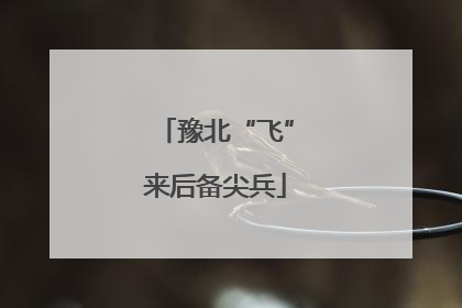 豫北“飞”来后备尖兵