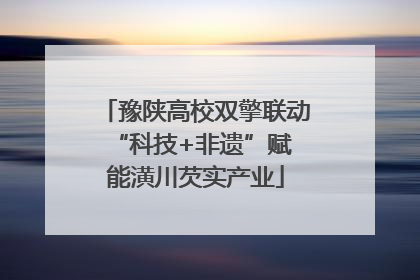 豫陕高校双擎联动 “科技+非遗”赋能潢川芡实产业