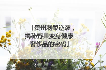 贵州刺梨逆袭，揭秘野果变身健康奢侈品的密码
