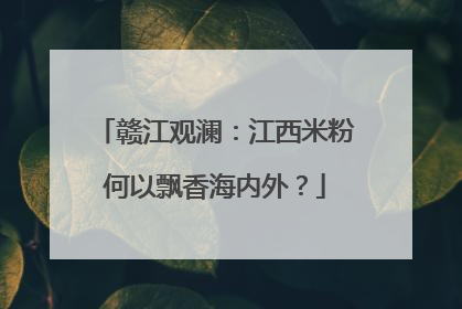 赣江观澜：江西米粉何以飘香海内外？