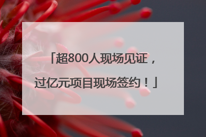 超800人现场见证，过亿元项目现场签约！