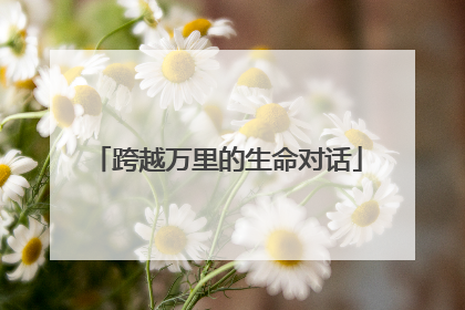 跨越万里的生命对话