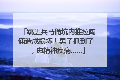 跳进兵马俑坑内推拉陶俑造成损坏！男子抓到了，患精神疾病……
