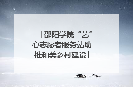 邵阳学院“艺”心志愿者服务站助推和美乡村建设