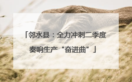 邻水县：全力冲刺二季度 奏响生产“奋进曲”