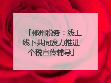 郴州税务：线上线下共同发力推进个税宣传辅导