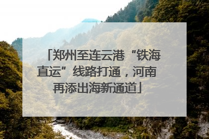 郑州至连云港“铁海直运”线路打通，河南再添出海新通道