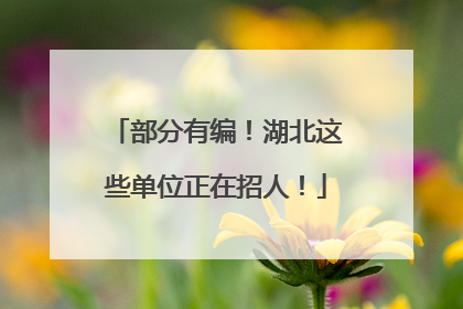 部分有编！湖北这些单位正在招人！