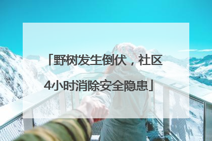 野树发生倒伏，社区4小时消除安全隐患