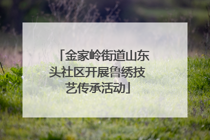 金家岭街道山东头社区开展鲁绣技艺传承活动