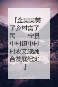 金果果美了乡村富了民——宁县中村镇中村村农文旅融合发展纪实