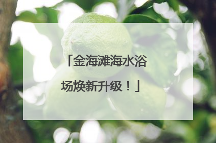 金海滩海水浴场焕新升级！