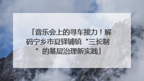 音乐会上的寻车接力！解码宁乡市夏铎铺镇“三长制”的基层治理新实践