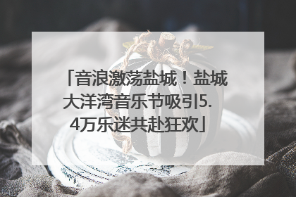 音浪激荡盐城！盐城大洋湾音乐节吸引5.4万乐迷共赴狂欢