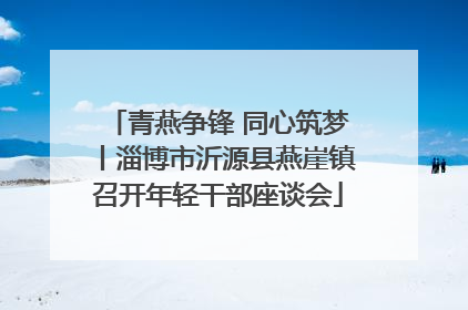 青燕争锋 同心筑梦丨淄博市沂源县燕崖镇召开年轻干部座谈会