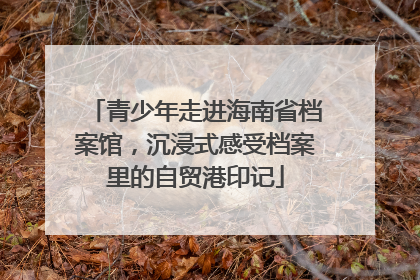 青少年走进海南省档案馆，沉浸式感受档案里的自贸港印记